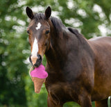 Pferdespielzeug Snacks