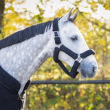 Halfter- Strick Set Zahra QHP