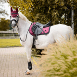 Schabracke Zahra QHP