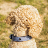 Hundehalsband QHP