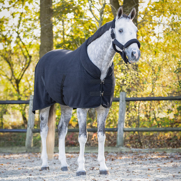 Abschwitzdecke Zahra QHP