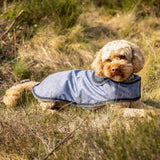 Hundemantel Collection QHP